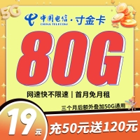 卡世界电信寸金卡19元80G