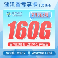 移动灵动卡29元160G+100分钟