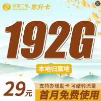 广电东升卡29元192G通用流量(流量支持结转)