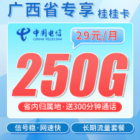 电信桂桂卡29元250G全国流量+300分钟+广西专属！
