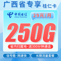 电信桂仁卡29元250G全国流量+300分钟+广西专属！