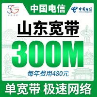 山东单宽带电信480元年享300Mbps