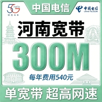 河南单宽带电信540元年享300bps
