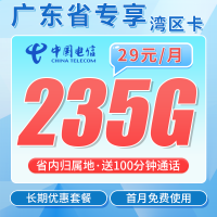 电信湾区卡29元235G+100分钟+广东省专属！