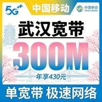 武汉单宽带移动430元年享300bps