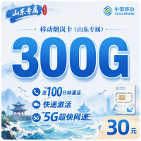 移动烟岚卡30元300G+100分钟+山东专属！