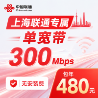 上海市单宽带联通480元年享300Mbps