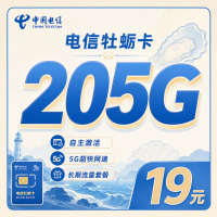 电信牡蛎卡19元205G全国流量+长期套餐+山东专属！