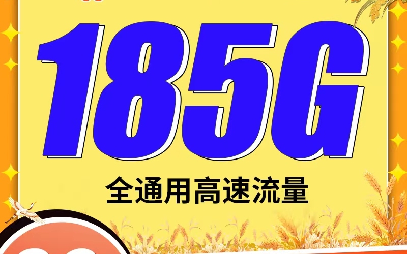 联通麦浪卡29元185G+100分钟