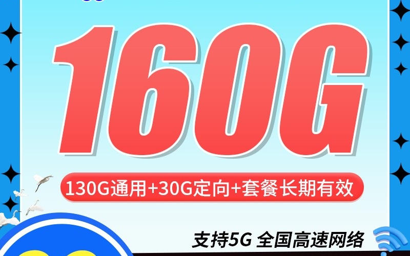 联通大雁卡29元160G+100分钟