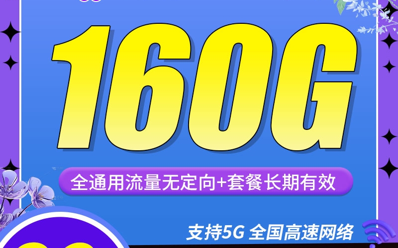 联通香皂卡29元160G+100分钟