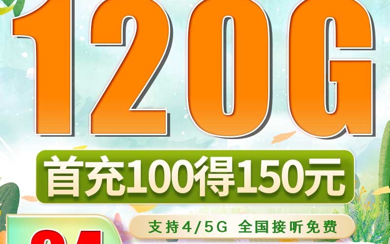 广电飞龙卡24元120G通用流量（流量支持结转）