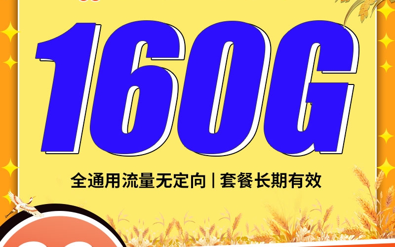 联通慕秋卡29元160G+100分钟