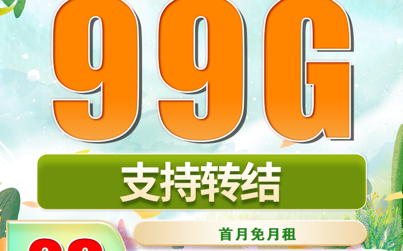 广电蛇年卡29元99G+可结转