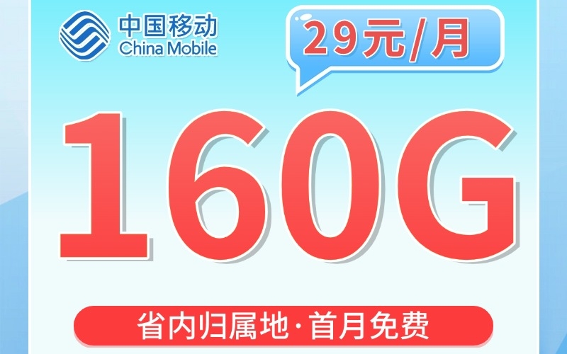 移动广东卡29元160G