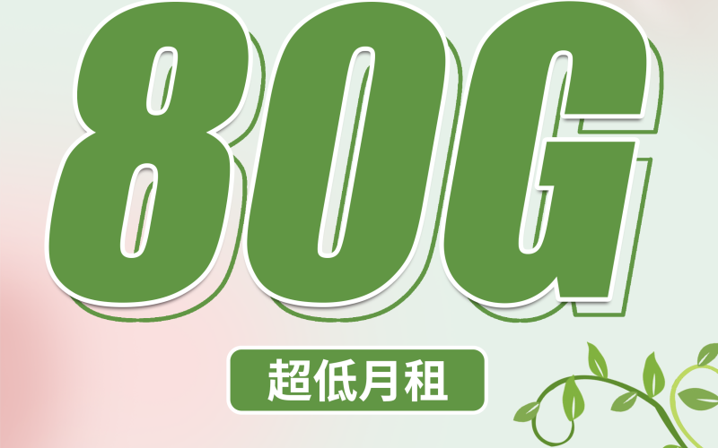 电信藤枝卡19元80G+首月免费！