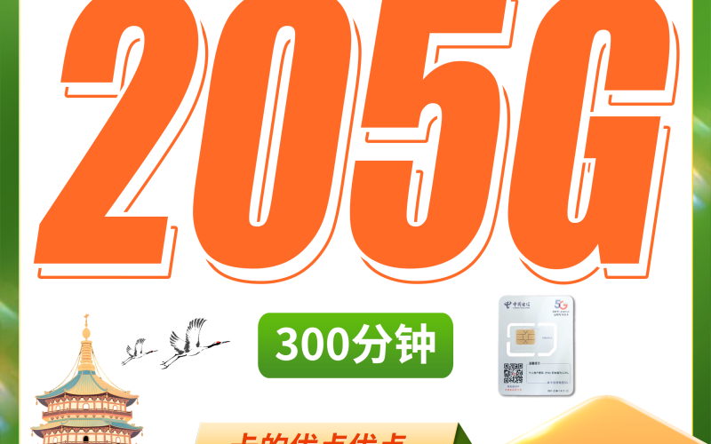 电信熙春卡39元205G全国流量+300分钟+浙江专属！