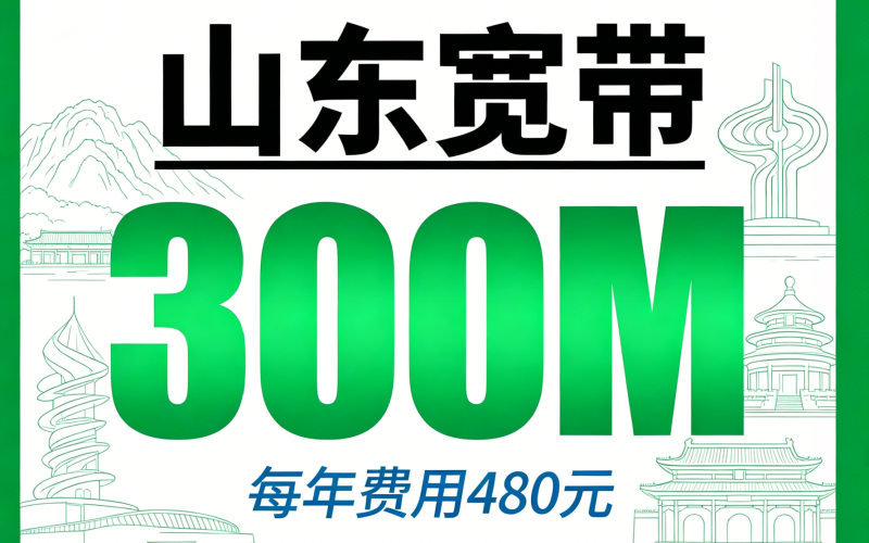 山东单宽带电信480元年享300Mbps
