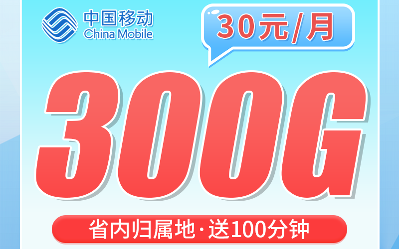 移动鲁岱卡30元300G+100分钟+山东专属！