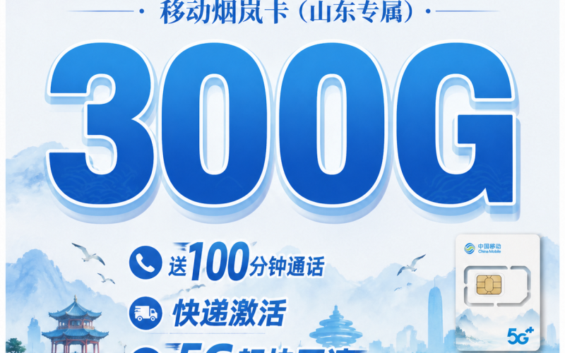移动烟岚卡30元300G+100分钟+山东专属！