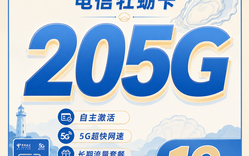 电信牡蛎卡19元205G全国流量+长期套餐+山东专属！